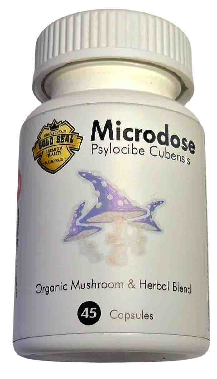 Microdose Mushroom + Herbal Blend - 100mg