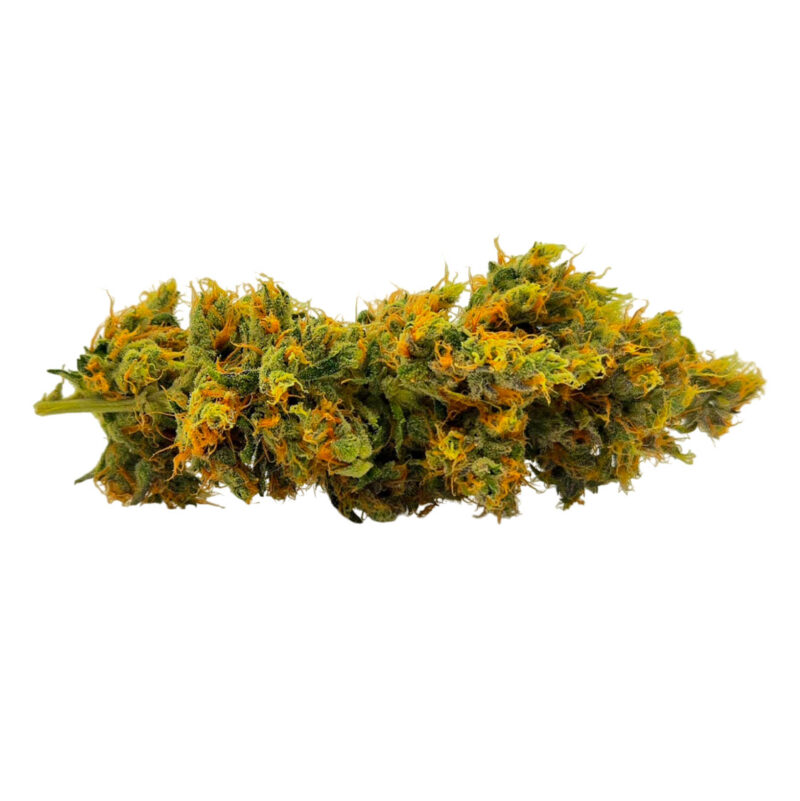King Louie XIII - Ounce, 28 Grams